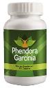 Phendora Garcinia South Africa Official Store logo